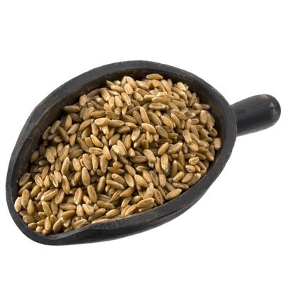 Organic Spelt Berries, Ancient Whole Grains, High in Protein and Fiber, Bulk, 25 lb
