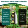 Tenmido Goldenseal Root Supplement - 10in1 Formula - Combine with Echinacea, Berberine, Turmeric, Cayenne Pepper, Ginger, Apple Pectin, Neem, & More - Digestive Health Support - 120 Capsules view 4