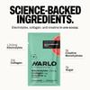 Harlo Electrolytes Powder with Creatine  Sachet Sampler | High Sodium Hydration for Intense Training | Zero Sugar | Includes Collagen | Salty by Design | 4-Flavor Trial (4 Sachets) view 4