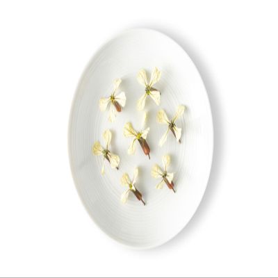 Fresh Origins Edible Arugula Blossom - Bold Spicy Flavor, Hand-Picked Freshness, 4 Packs of 100 Count Each