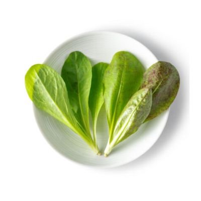 Fresh Origins-Greens, Minicrown, Radicchio, 200 pieces, Avg 3 Oz, Fresh Lettuce Flavor, Hand-Picked Freshness