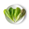 Fresh Origins-Greens, Minicrown, Radicchio, 200 pieces, Avg 3 Oz, Fresh Lettuce Flavor, Hand-Picked Freshness view 1
