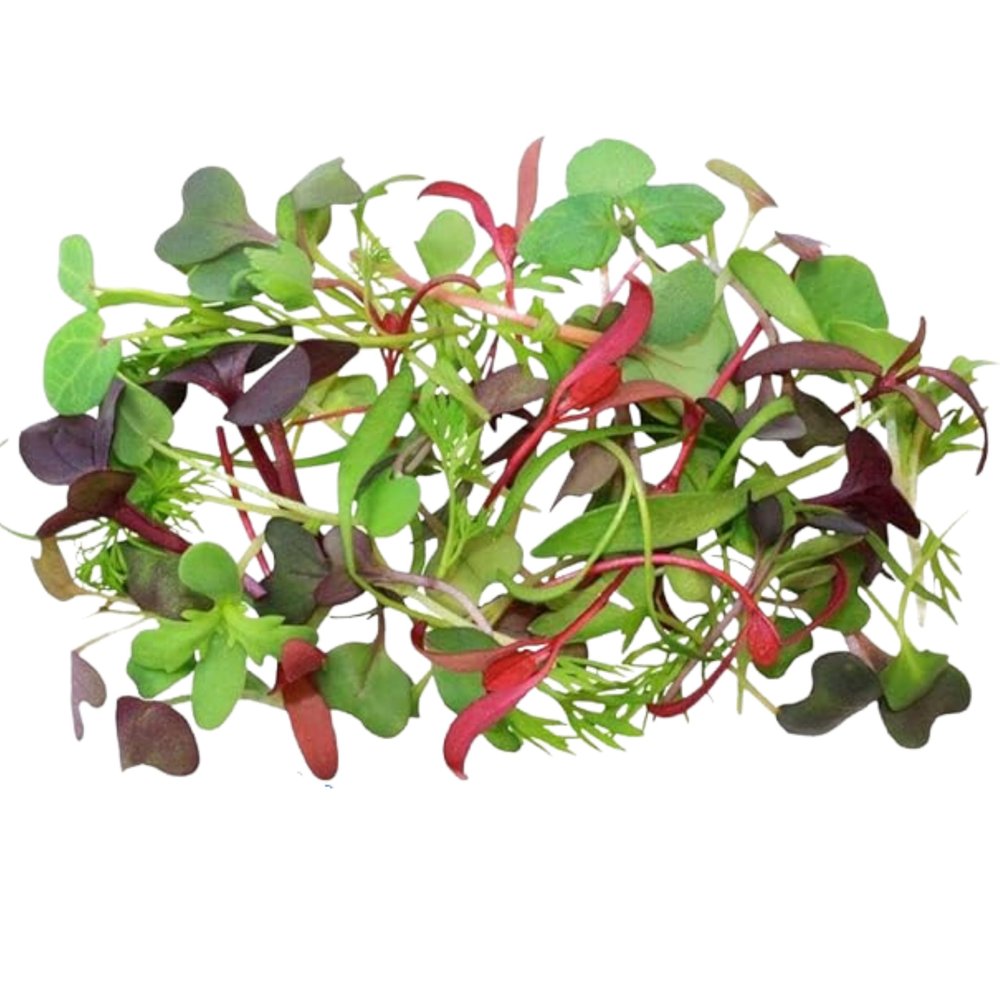 Fresh Origins-Micro Greens, Intensity Mix, 16 oz (4 Packs of 4 oz Each), Vibrant Herb Blend, Intense Flavor, Hand-Picked Fresh
