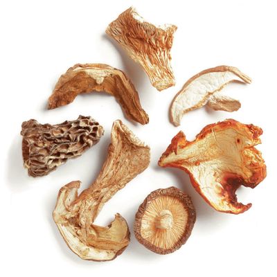 D'Allesandro Northwoods Dried Mushroom Blend, 1 Pound - Gourmet Mix of Lobster, Shiitake, Porcini, Morels, Oyster, Sliced Shiitake, and Boletes