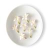 Fresh Origins Edible Jasmine Flowers - 4 Count of 100 Count, Hand-Picked, Aromatic, Perfect for Cocktails and Desserts view 1