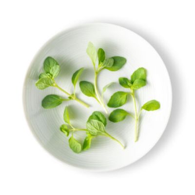 Fresh Origins Micro Greens Mint, 4 Packs of 3 oz Each, Gourmet Fresh Microgreens for Desserts, Cocktails, and Meats