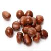 Fresh Raw Chestnuts (3 Pounds) - Premium Roasting Chestnuts for Holiday Recipes & Snacking  Farm Fresh - Christmas Snack, Naturally Sweet, High-Fiber, Non-GMO, Gluten Free view 1