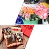 BCOATH 1roll Cellophane Wrap Film Packing Film for Crafts Flowers Fruit Baskets and Opp Material for Christmas Weddings and Special Occasions view 3
