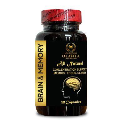 Brain Memory Support - Natural Cognitive Enhancer for Increased Focus, Memory and Mental Clarity, Ginkgo Biloba, Brain Supplements for Memory and Focus - 1 Bottle 60 Capsules