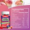 2 Pack Calcium Magnesium Gummies 600MG, Calcium Magnesium Zinc Gummies with Vitamin D3 - High Absorption Complex Calcium Supplement, Vegan, 120 Counts view 2