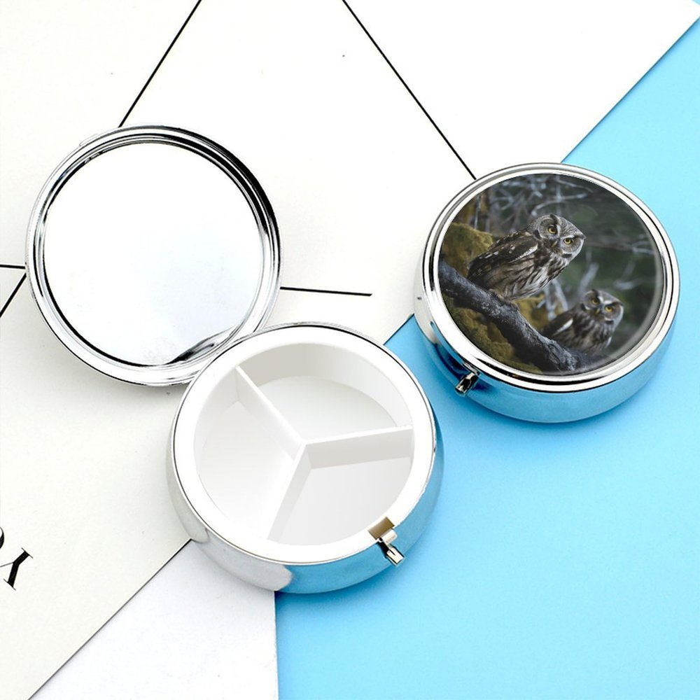 Pill Box Pill Case for Woman Weekly Pill Organizer with 3 Compartments Wild Owl Birds Small Pillbox Pill Container Portable Vitamin Holder Boxes for Travel Medicine Organizer