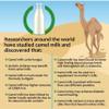 HEALTH LAB - 100% Pure & Natural Camel Milk Powder, Organic, Gluten Free & No Additives - 200 gram view 3