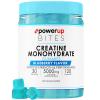 PowerUp Bites Creatine Monohydrate Gummies Blueberry for Men & Women, 100% Creatine Blueberry Gummies, 5g per Serving + Vegan, Sugar Free + Strength, Energy, Muscle & Booty Gain - 120 Count view 1