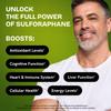 Healthbiotics Sulforaphane Supplement Organic Broccoli Sprouts | Stabilized Sulforaphane from Broccoli Florets & Seeds | Organic Sulfur Supplements 480 Pills | 4 Packs view 3