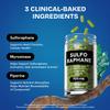 Healthbiotics Sulforaphane Supplement Organic Broccoli Sprouts | Stabilized Sulforaphane from Broccoli Florets & Seeds | Organic Sulfur Supplements 480 Pills | 4 Packs view 4