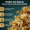 Raw Irish Sea Moss - 2oz | Organic Wildcrafted Gold Seamoss | Makes 35oz Gel | Vegan, Non-GMO, Gluten-Free | Dried Sea Moss for Skin, Hair, Digestion, Smoothies, Natural Superfood view 3