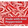 Candy Canes, Individually Wrapped, Red & White Stripes, Christmas Holiday Candy, Bulk | (120 CT) view 4