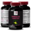 Active Lifestyle - TRIBULUS TERRESTRIS EXTRACTS - Strength Surge, Energy for Activity, Plant-Based Strength, Power Support, Natural Boost, Muscle Recovery, Strength Focus, Body Power 2 Bottles 120Tabs view 2