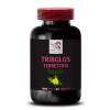 Active Body Support - TRIBULUS TERRESTRIS EXTRACTS - Plant-Based Energy Boost, Energy Boost Formula, Strength Surge, Dynamic Strength Support, Pure Energy Support, Body Power Boost 1 Bottle 60 Tabs view 2