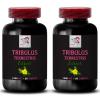 Active Power Surge - TRIBULUS TERRESTRIS EXTRACTS - Body Energy Formula, Strength Focus, Dynamic Strength Boost, Natural Power, Physical Muscle, Pure Energy Source, Plant-Based Formula 2Bot 120Tabs view 1