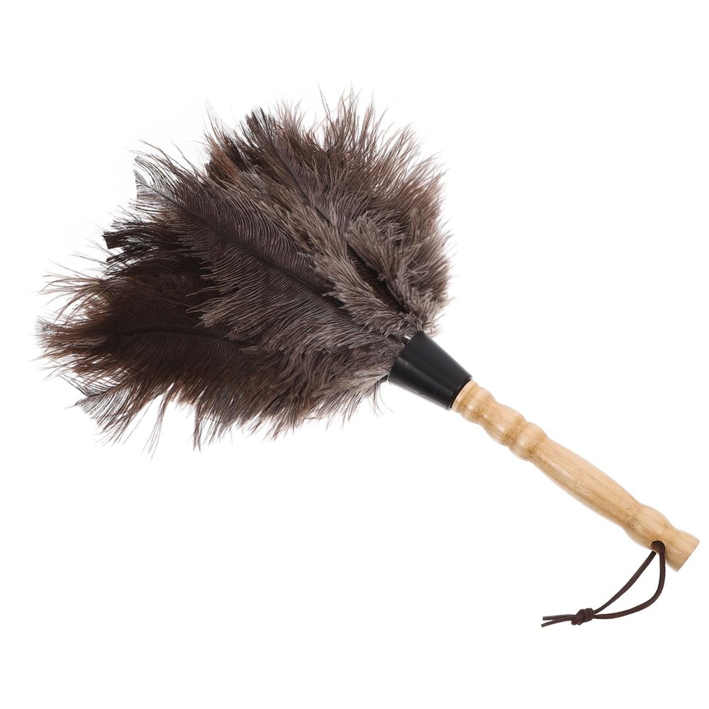 Plume Duster with Wooden Handle for Household Furniture Cleaning