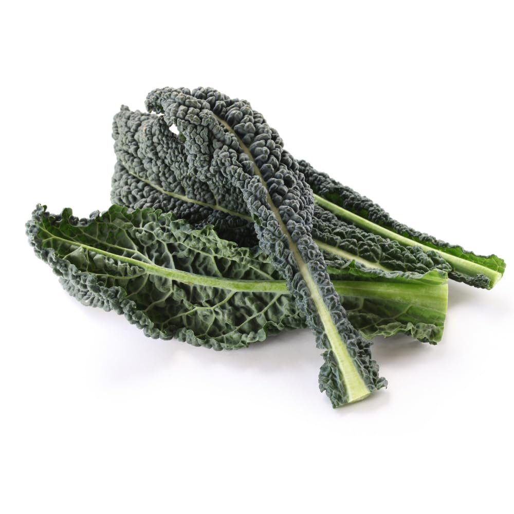 Organic Tuscan Kale - Fresh, Hearty, and Perfect for Soups, Stews, and Side Dishes - 24 Bunches per Case