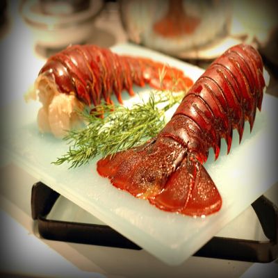 Canadian Cold Water Lobster Tails, 5-6 oz, 2 Packs of 10 lb, 20 lb Case, Frozen, Sustainably Harvested