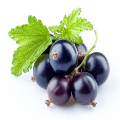 Organic Black Currants - Frozen, 5 lb Bulk Pack, Premium Quality for Gourmet Baking, Rich Tangy Flavor, Versatile for Jams, Pies, and Tarts, Nutrient-Rich and Ideal for Professional Chefs