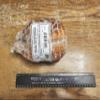 Petaluma Poultry Smoked Whole Chicken, 6 Packs, 2.5-3 lb Each, Frozen, Free-Range, Ready-to-Use, Gourmet Quality view 1