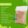 African Black Eyed Peas, Authentic for Cooking, Premium African Black Eye Beans, Traditional African Food Beans (1lbs) view 4