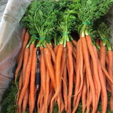 Baby Orange Carrots, 24 Bunches, Avg 10 lb Case - Fresh, Vibrant, and Perfect for Gourmet Dishes, Ideal for Salads, Roasted Vegetables, and Fine Dining Presentations