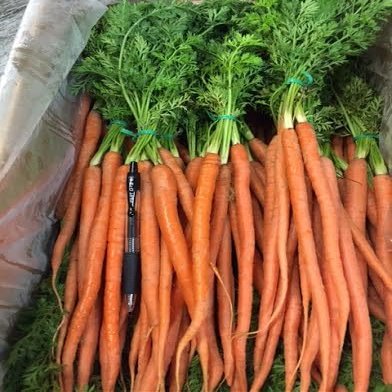 Baby Orange Carrots, 24 Bunches, Avg 10 lb Case - Fresh, Vibrant, and Perfect for Gourmet Dishes, Ideal for Salads, Roasted Vegetables, and Fine Dining Presentations