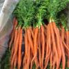 Baby Orange Carrots, 24 Bunches, Avg 10 lb Case - Fresh, Vibrant, and Perfect for Gourmet Dishes, Ideal for Salads, Roasted Vegetables, and Fine Dining Presentations view 1