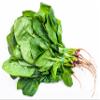 Fresh Spinach Bunch by RawJoy Farms view 1