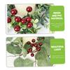 2pcs Candle Berry Wreaths Lifelike Eucalyptus Floral Garland for Table Decoration for Holiday Parties and Festive Events Random Style view 4
