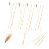Anneome Ear Wax Removal Kit Bamboo Ear Spoon Set 5 Pieces Ears Cleaner Earwax Replacement Safe Ear Cleaning Tools view 3