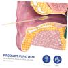 Anneome Ear Wax Removal Kit Bamboo Ear Spoon Set 5 Pieces Ears Cleaner Earwax Replacement Safe Ear Cleaning Tools view 4