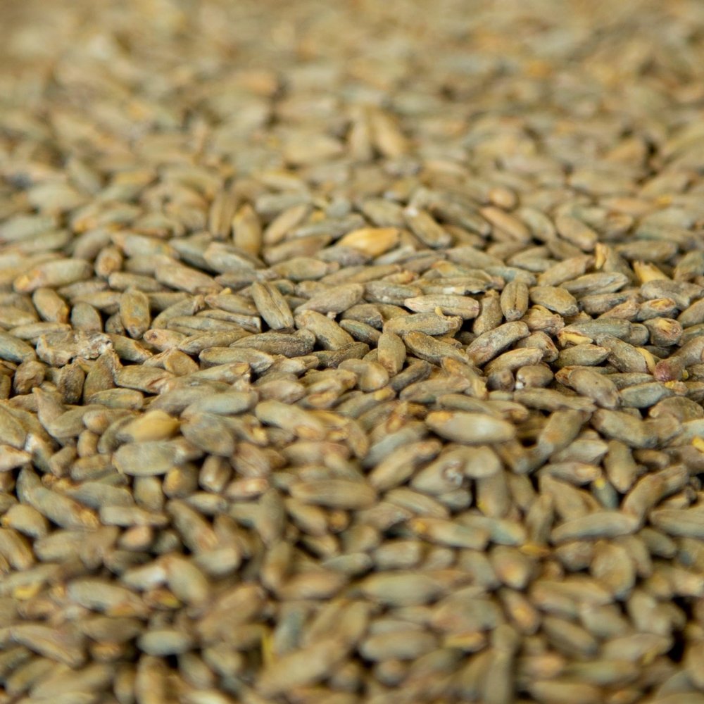 10LB Gambrinus Canadian RYE MALT Whole Grain Uncrushed