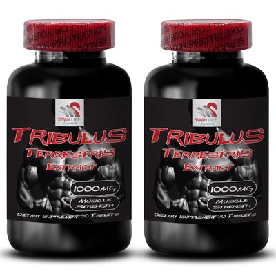 Active Recovery - TRIBULUS TERRESTRIS EXTRACT - Body Power Formula, Muscle Support System, Strength & Energy, Daily Performance, Plant-Based Recovery, Physical Stamina, Power 2 Bottles 180 Tablets