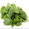 Fresh Spinach Bunch by RawJoy Farms view 2