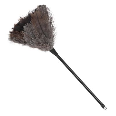 Anneome Ostrich Duster Long Handle Natural Cleaning Tool for Dusting Delicate Items Home Office Car and Kitchen Lightweight and Design