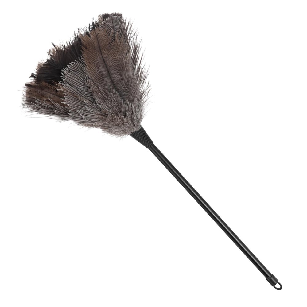 Anneome Ostrich Duster Long Handle Natural Cleaning Tool for Dusting Delicate Items Home Office Car and Kitchen Lightweight and Design