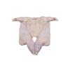 Joyce Farms Poulet Rouge Fermier Chicken, Whole, Semi-Boneless with Drumette, 12 Count of 2.25-2.75 lb Each, Average 30 lb Case, Frozen view 1