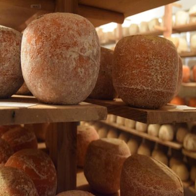 5 Spoke Harvest Moon Cheese - Round Semi-Hard Raw Milk Cheese, 6 lb - Inspired by French Mimolette, Rich Butterscotch Flavor