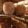 5 Spoke Harvest Moon Cheese - Round Semi-Hard Raw Milk Cheese, 6 lb - Inspired by French Mimolette, Rich Butterscotch Flavor view 1