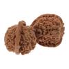 SEWOART 2pcs Hand Exercise Balls for Stress Relief and Massage Walnut Core Leisure Balls for Focused Hand Seniors Go Use view 1