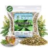 Moronel Herbal Tea (4 oz) - Premium "Planta de la Vida" (Synadenium grantii) - Wildcrafted Loose Leaf Tea from Mexico - 100% Natural, Caffeine-Free, Vegan - Authentic Mexican Herbs by BEXPERTSUSA view 1