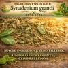 Moronel Herbal Tea (4 oz) - Premium "Planta de la Vida" (Synadenium grantii) - Wildcrafted Loose Leaf Tea from Mexico - 100% Natural, Caffeine-Free, Vegan - Authentic Mexican Herbs by BEXPERTSUSA view 3