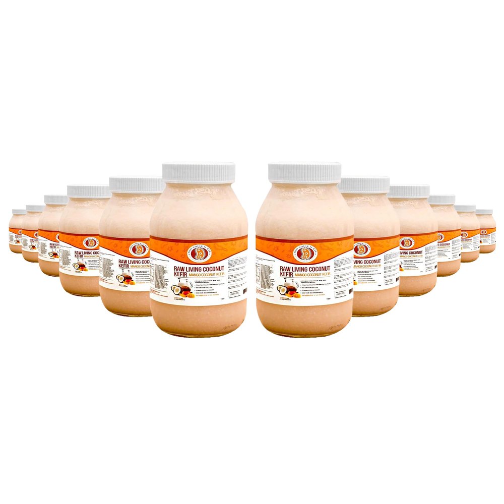 Mango Coconut Kefir  Organic Raw Probiotic Drink for Gut Health & Digestion | Living Cultures, Tropical Flavor | by This Chick Is Raw  Full Case