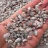 0.5 Pound Natural Semi Tumbled Thousand Layers Gemstone Chips, Crushed Mini Thousand Layers Crystals, Undrilled Crystal Chips (Thousand Layers) view 4
